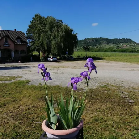 Flamingo Etterem, Maganszallashely Ubytování v soukromí